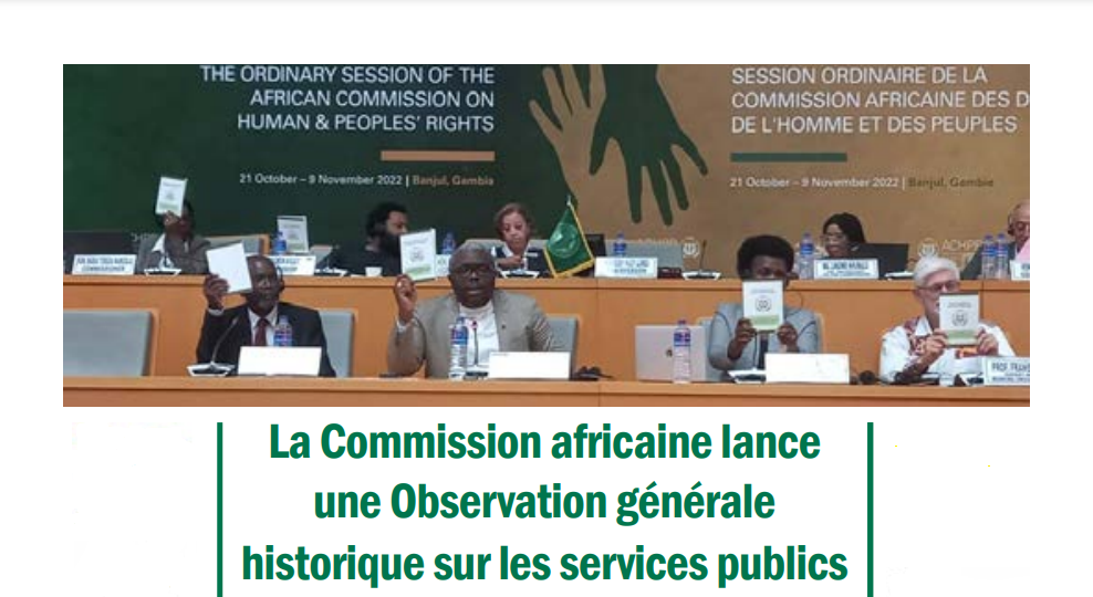Photo couverture La Commission africaine lance une Observation sur les obligations des États en matière de services sociaux      